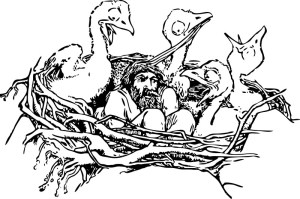 man_in_a_bird_s_nest