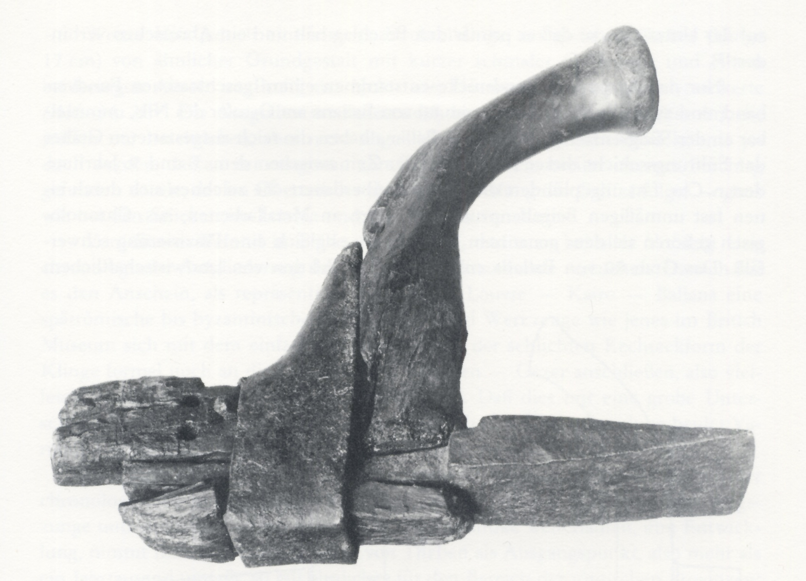 fig.204